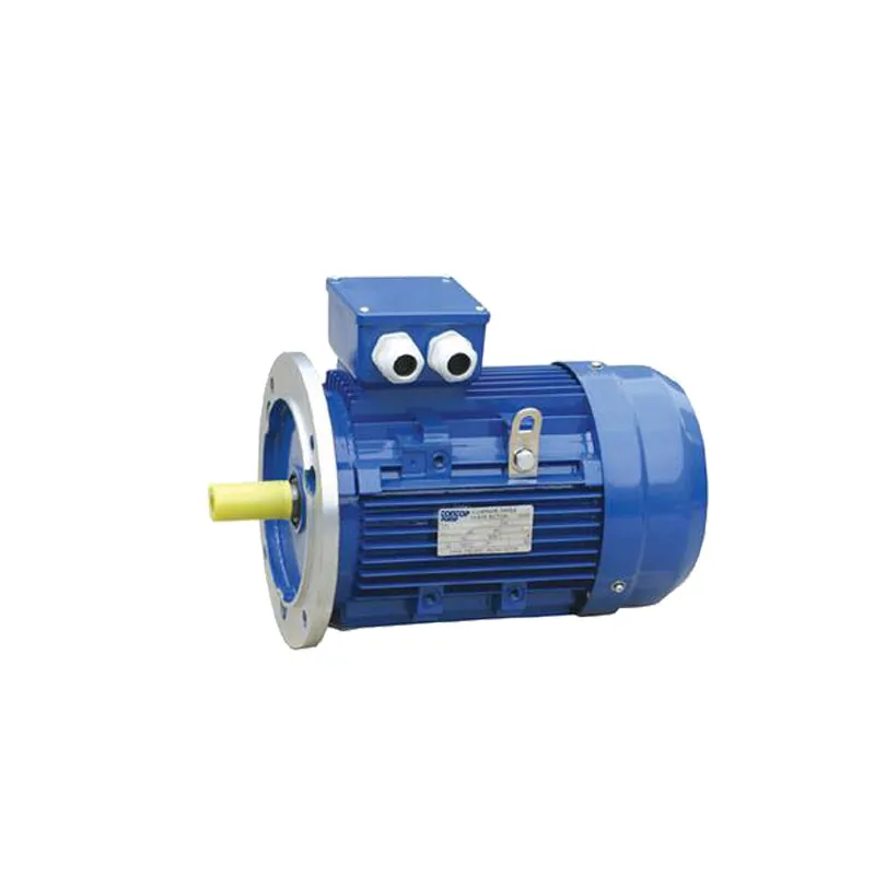 AC Electric Motor Electric Engine Ac Induction Motor 200kw for Hydro Turbo Generator