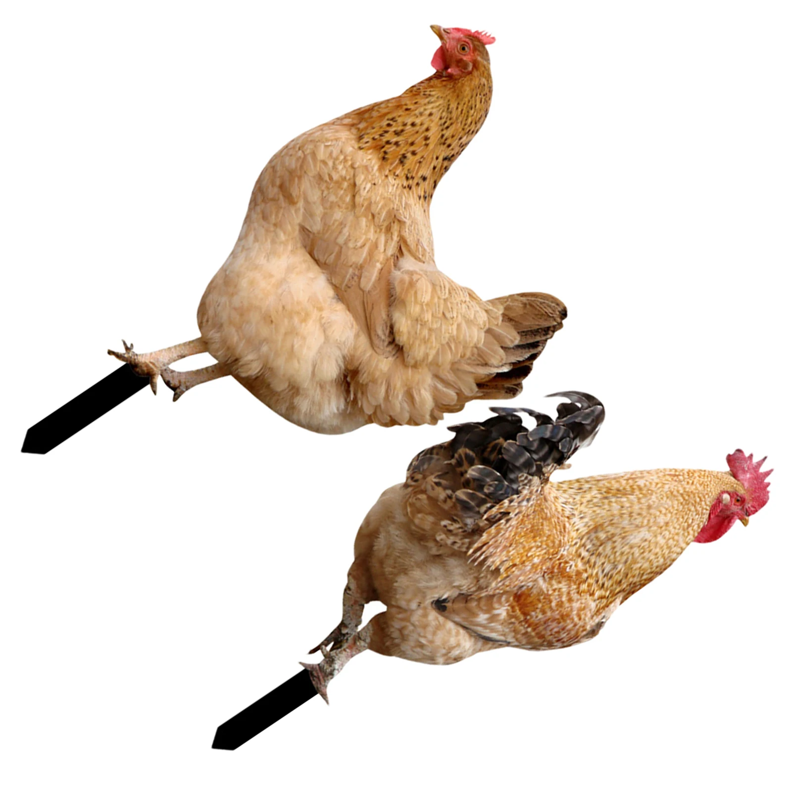 

2Pcs Acrylic Chicken Stake for Garden Decor Simulation Chicken Insert Outdoor Decorations Yard Stakes Lawn Ornament Garden
