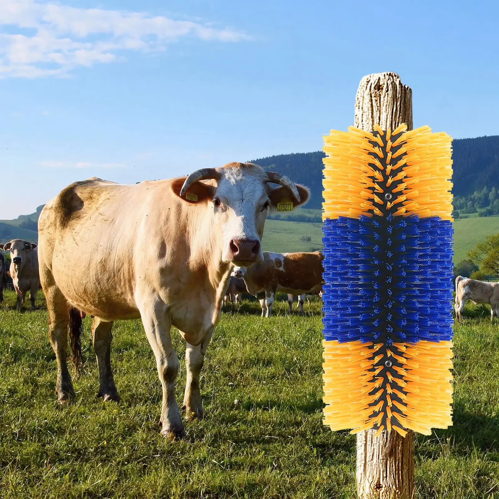 

Набор пластиковых нейлоновых щеток для ухода за лошадьми, сверхпрочный очиститель для шерсти лошадей и крупного рогатого скота