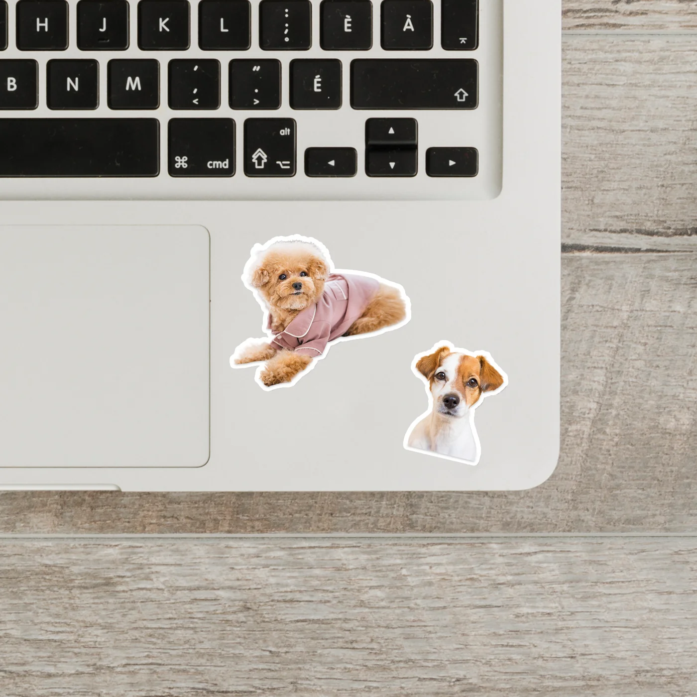 ملصقات مخصصة للحيوانات الأليفة ملصقات شخصية مقاومة للماء لصورك ملصقات شعار مخصصة لطيفة لكوب الكمبيوتر المحمول، ديكو حفلة عيد الميلاد #6