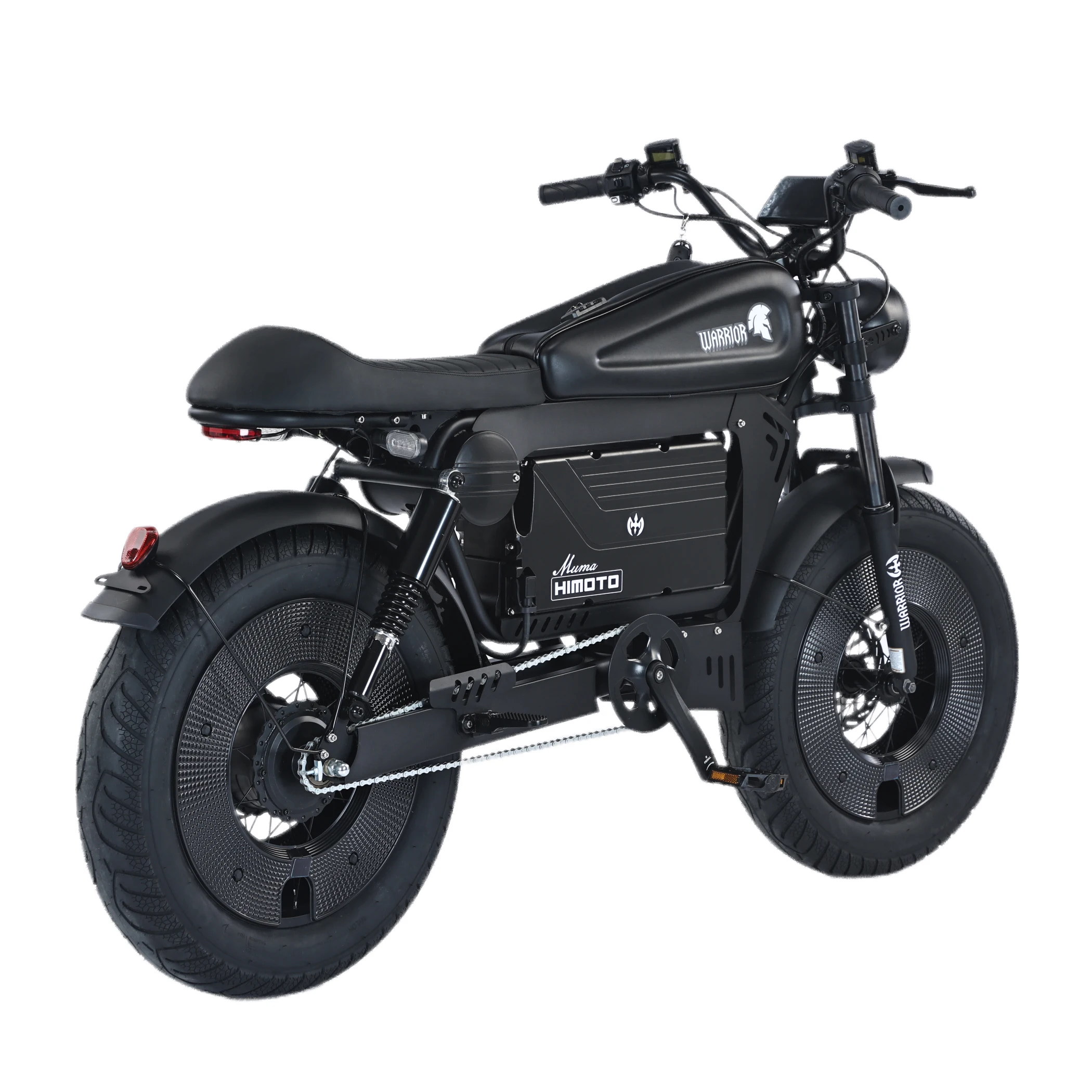 Removable Battery Fat Tire Electric Bike Long Range High Speed City Mountain E-Bike Speaker