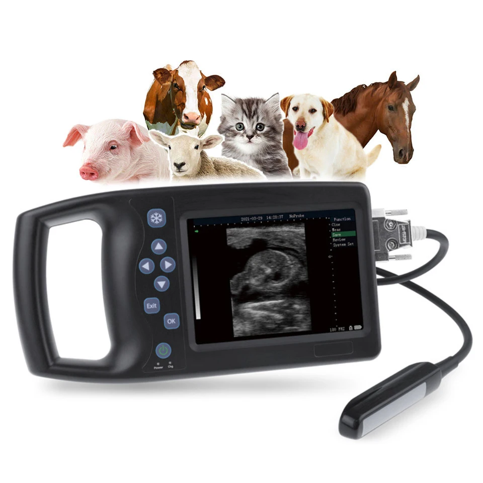 

RS 5 Frequency Conversion Full Digital Animal Veterinary Portable Ultrasound Scanner with probe Specialty Measurement