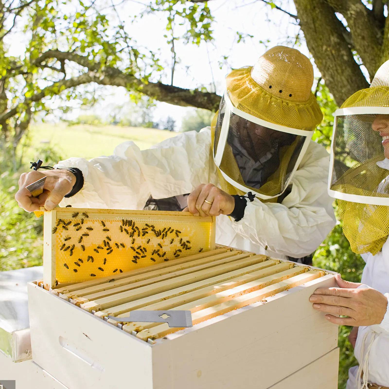 1Pcs Stainless Steel Beehive Scraper Essential Beekeeper Tool for Opening and Wax Removal Compact Design Fits Pocket