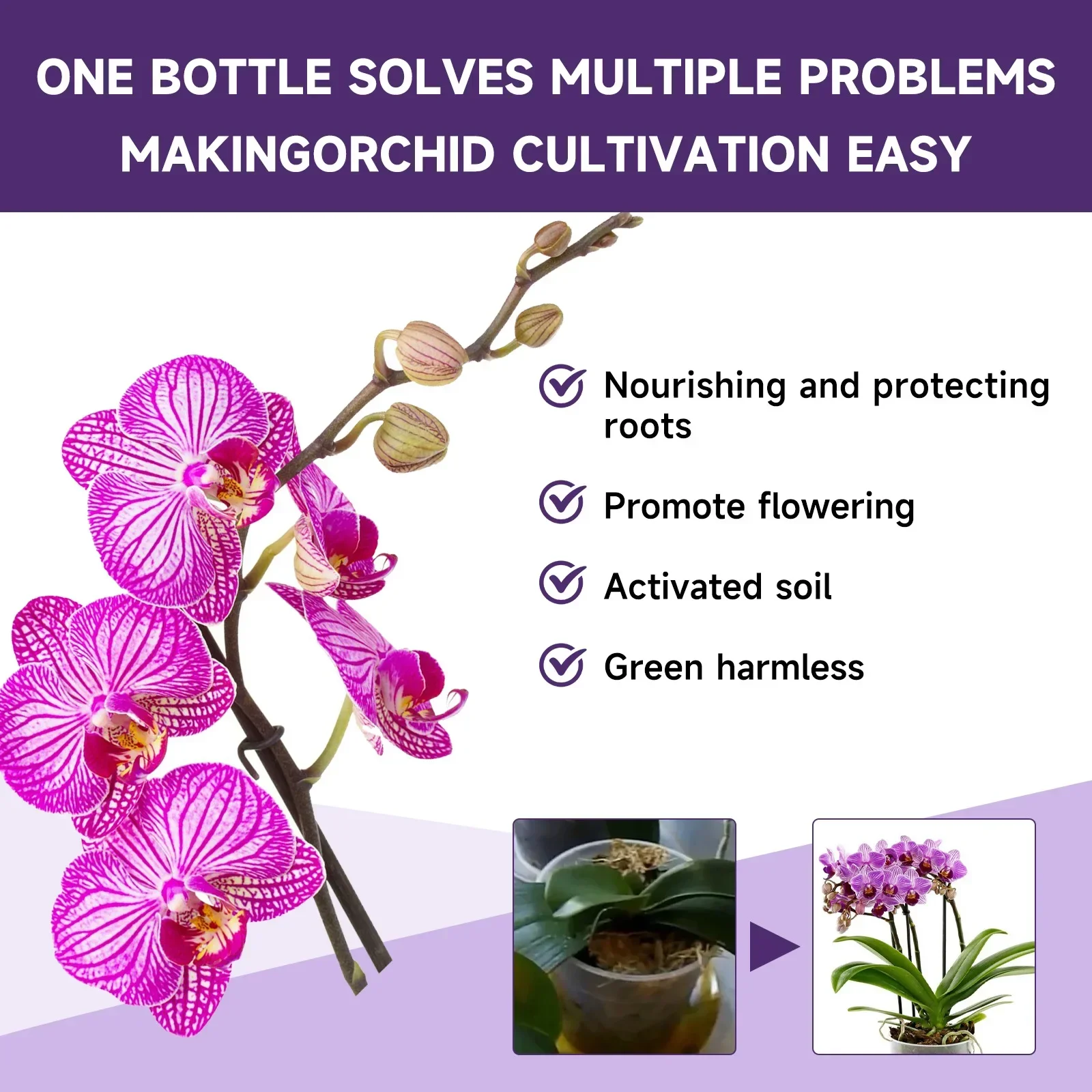 Plant Nutrition Liquid Flower Fertilizer Orchid Special Compound Growth Hydroponic Garden Plant Supplementing Nutrition Liquid