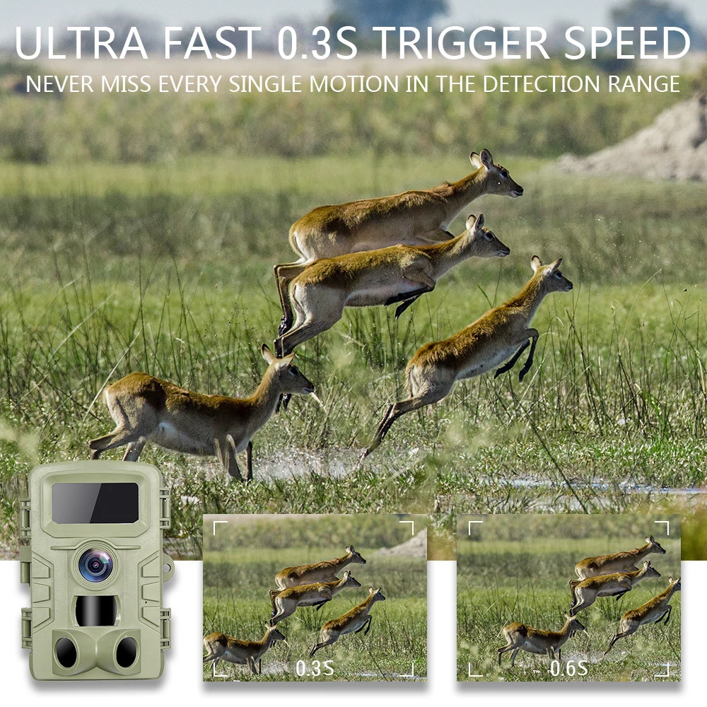 Kamera Satwa Liar Malam Hari I - Night Vision Trail Camera Infrared Leds ulasan dan harga