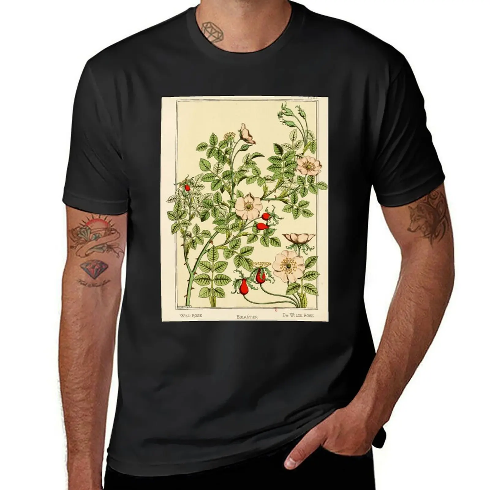 French botanical flower plate - Maurice Verneuil - Eglantier T-Shirt graphics funnys sports fans quick-drying sweat shirts, men