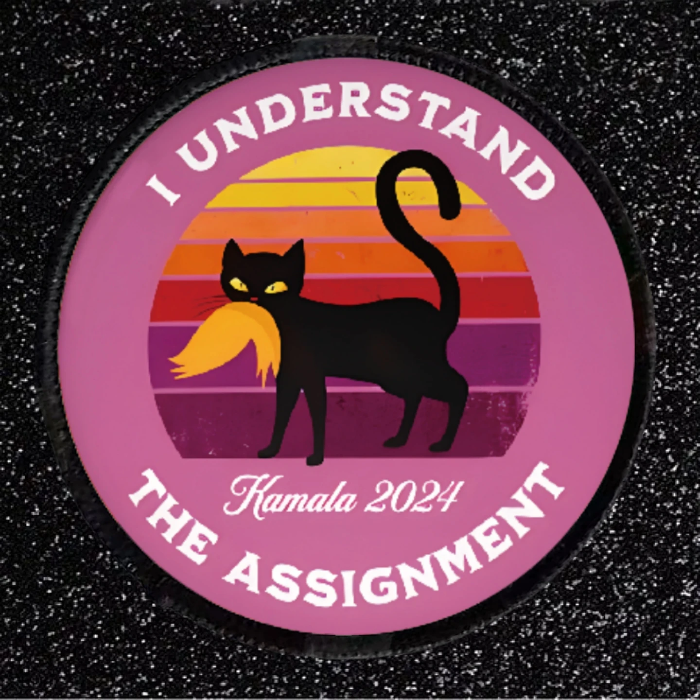 Tactical Patch I UNDERSTAND THE ASSIGNMENT Black Cat Morale Badge Military Armband Printed Hook & Loop Patches Backpack Sticker