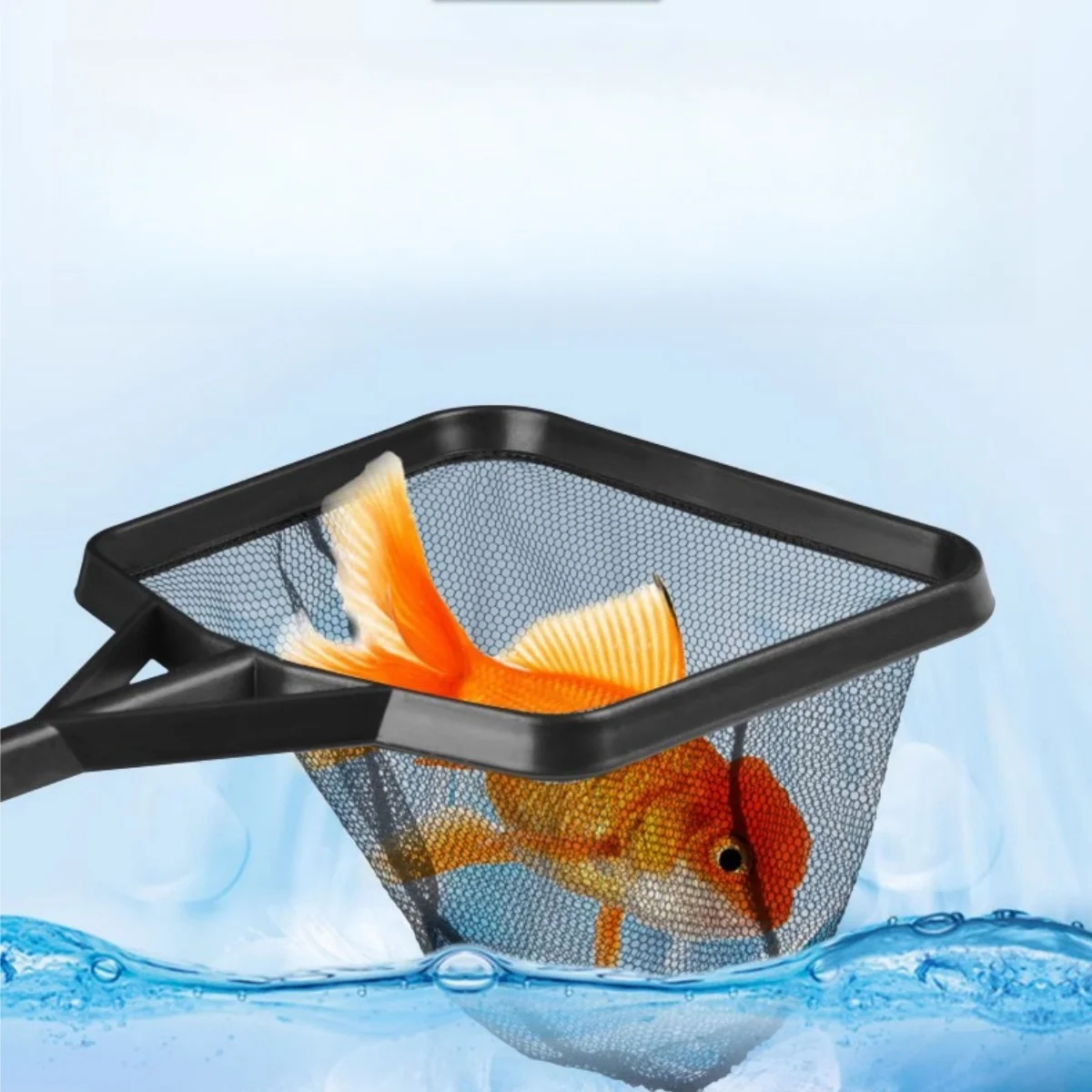 #5 Latest Aquarium Fish Nets Offers