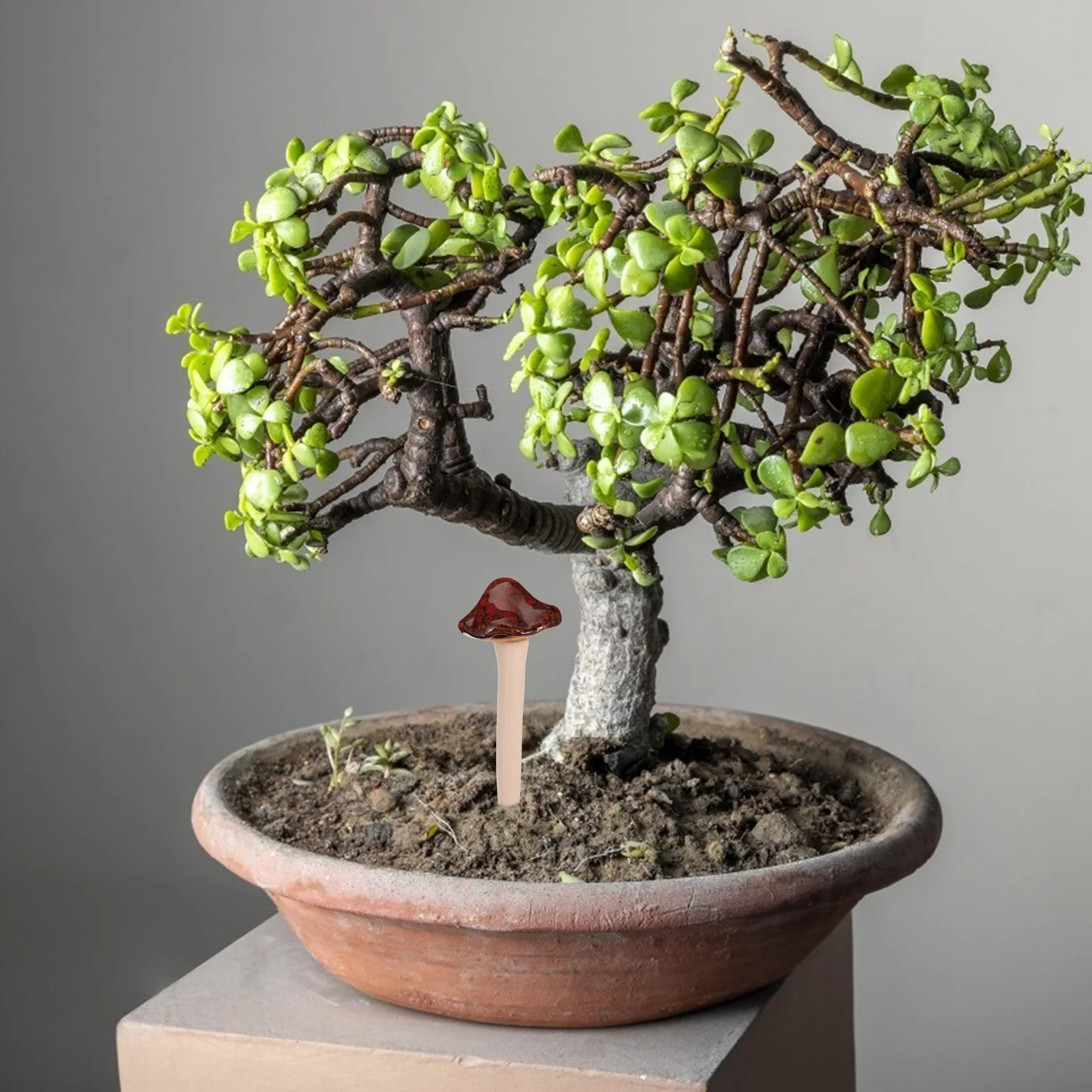 

4Pcs Garden Decoration Colorful Ceramic Mushroom Set Lightweight Waterproof Mini Fake Mushrooms for Flower Pot Succulent