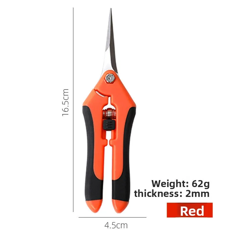 Fruit Picking Pruning Shears, Heavy-Duty Pruning Scissors, Garden Fruit Picking Shears, Specialized Grape Pruning Scissors image 6