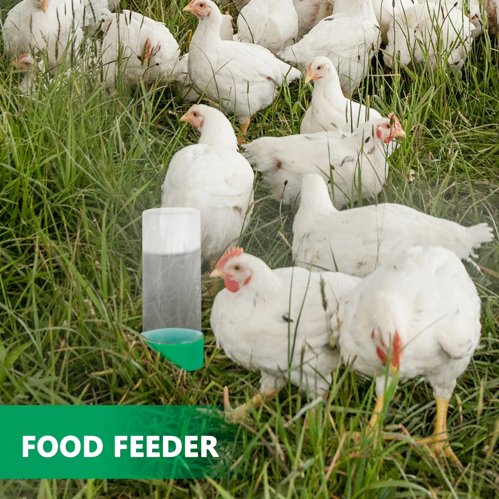 

Quail Automatic Water Feeder Plastic Bird Feeders for Chickens Poultry Duck Baby Supplies Hanging Chick Feeder Outside Feeding