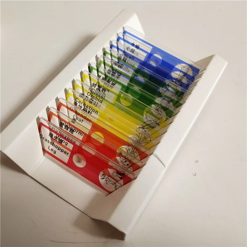 48PCS Gift Various Educational Toy Plastic Prepared Specimen for Children Biological Microscope Insects Plants Slides