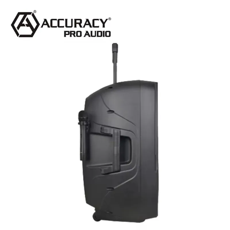 

Accuracy Pro Audio PML15AMFQ-V2BP-BT 100W 15 Inch Powered Speakers Karaoke Speaker With Mic And Bluetooth