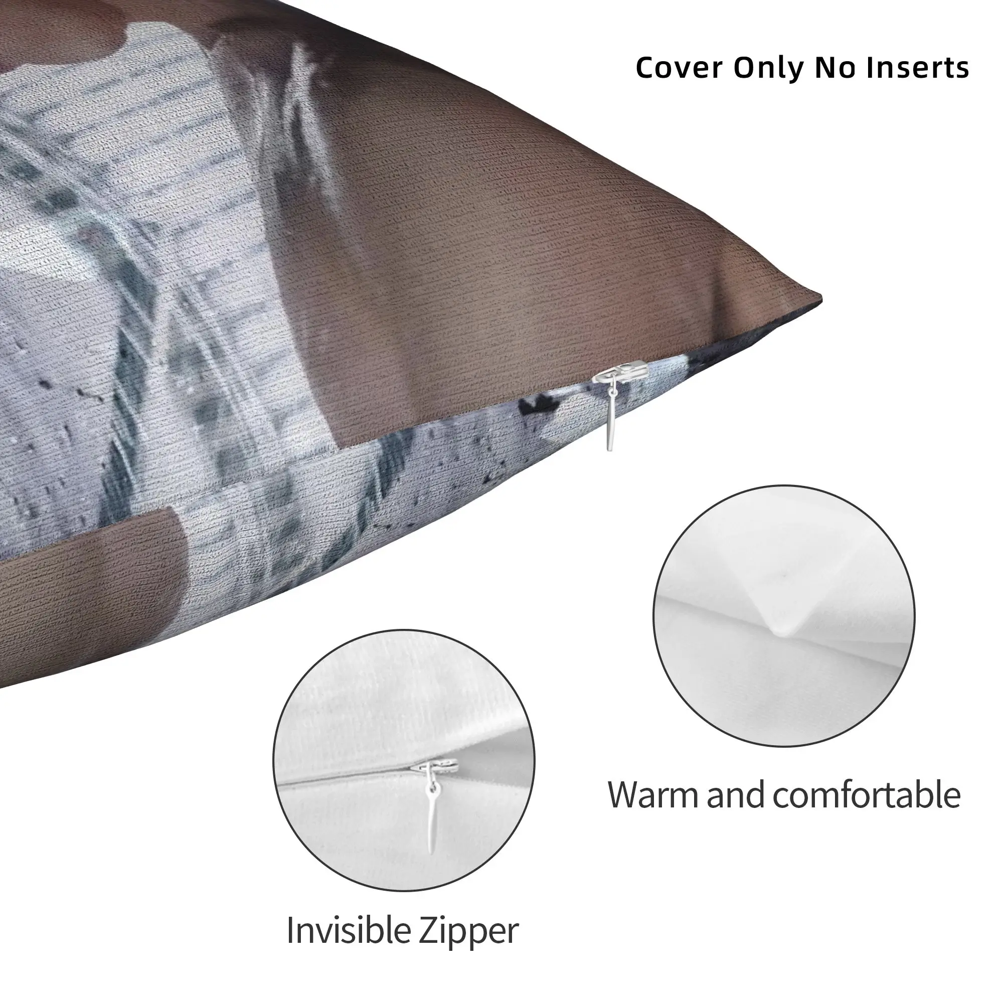 Soft Early Spring Jing Boran Luan Nian Luke Pillowcase Polyester Cushion Cover Decorations TV Pillow Case Cover Car Wholesale