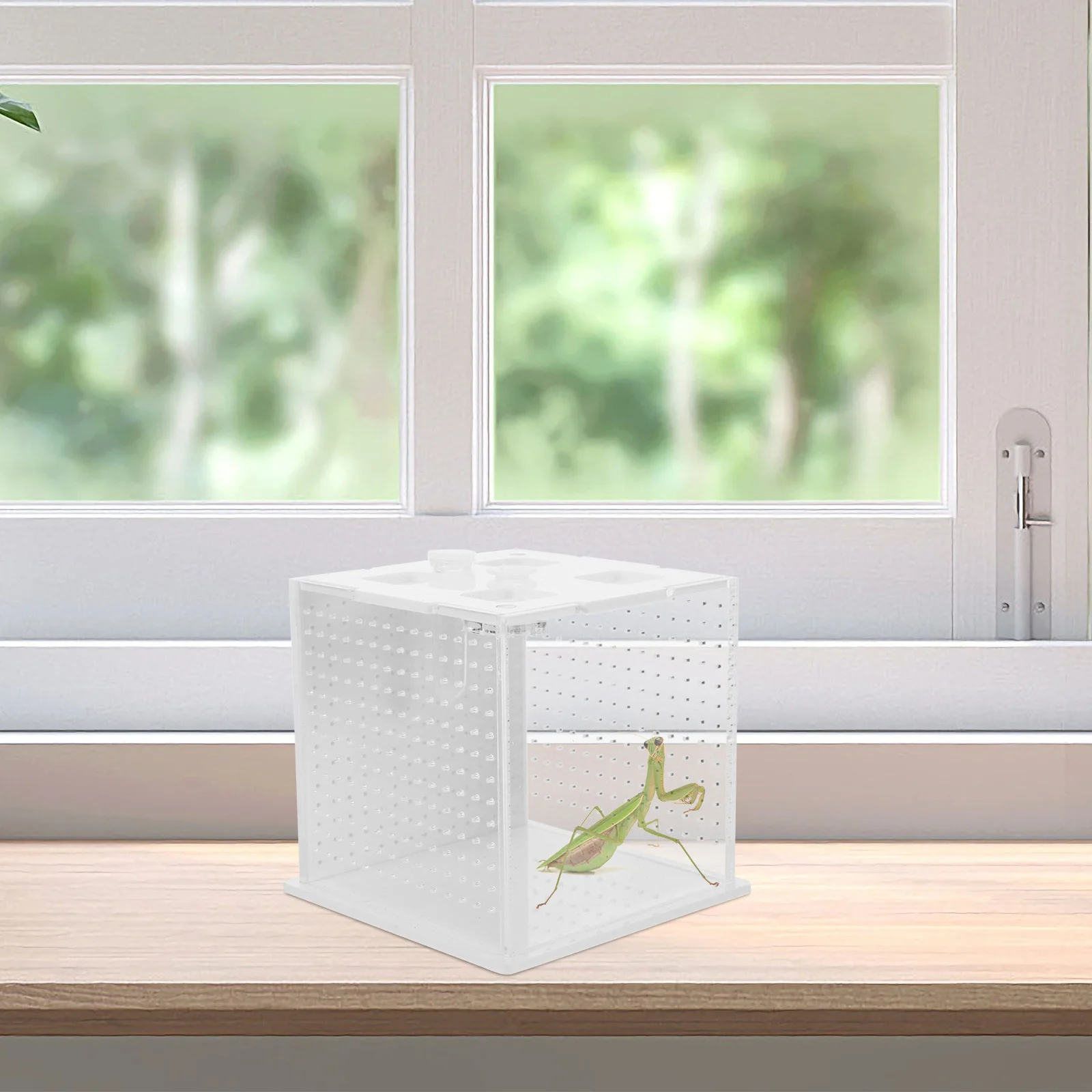 

Transparent Reptile Box Breeding Case Home Feeding Box Clear Habitat Terrarium for Mantis Stick Snake Cage