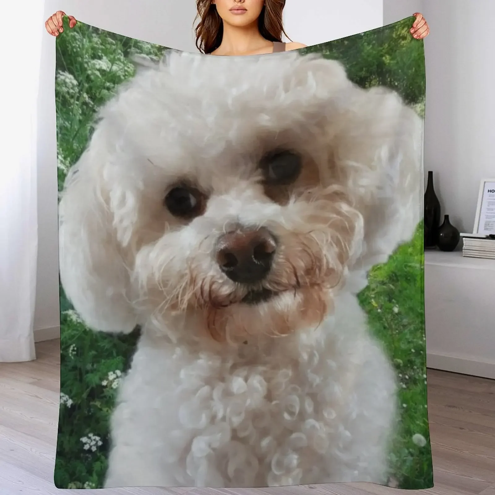 

Cavachon Throw Blanket Luxury St Beautifuls Thermals For Travel Blankets
