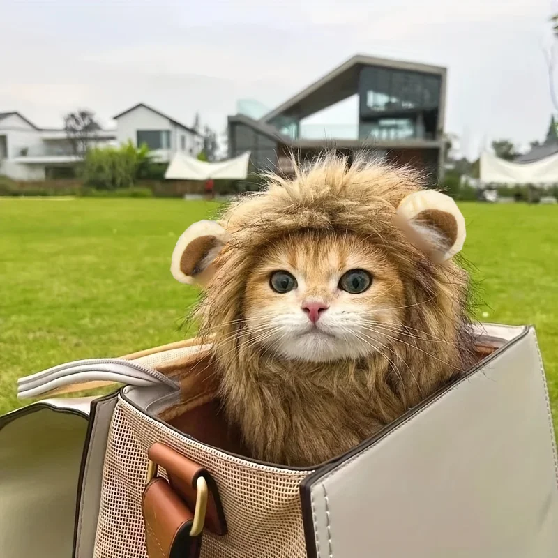 

TONG Cat Costume Lion Mane Cat Wig Hat Cosplay Clothes Cap Dress up Puppy Kitten Halloween Christmas Lion Cat