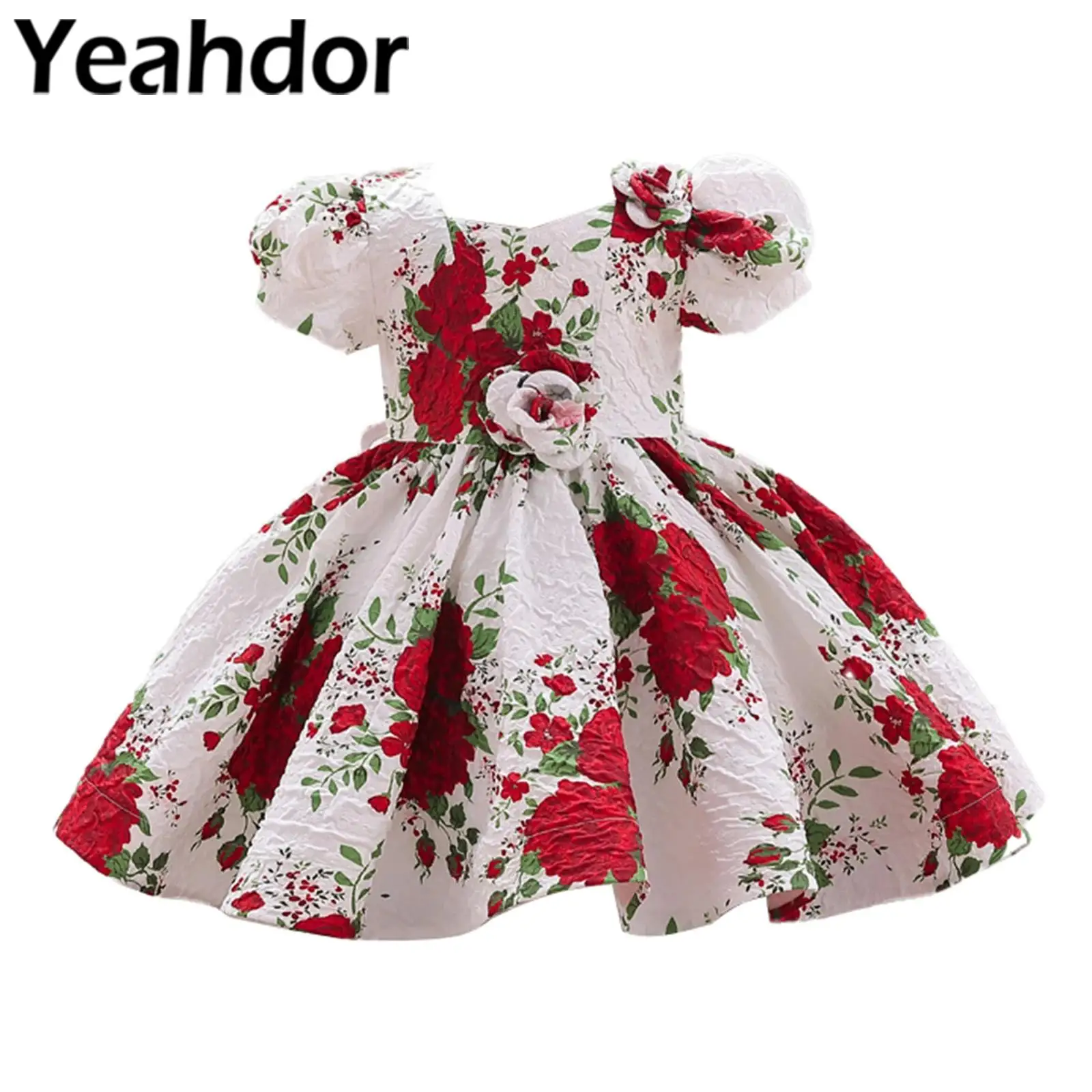 

Girls Flower Princess Dress Ruffled Pleated A-Line Kids Dress Infants Birthday Party Gown for Christening Dresses Baptism Wear