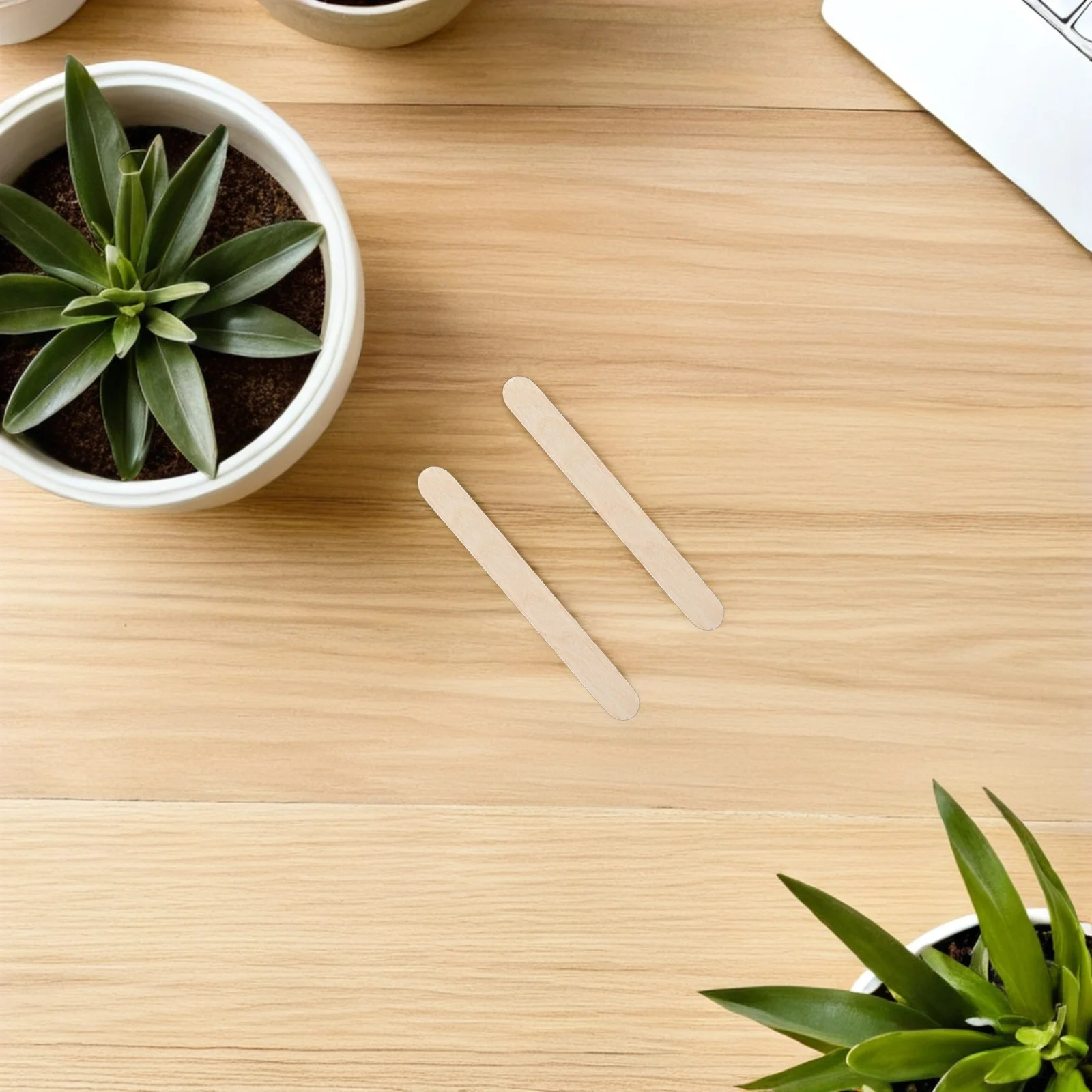 

150Pcs Wooden Plant Labels Waterproof Garden Markers Reusable Plant Name Tags for Herb Flower Vegetable Seedling Identification