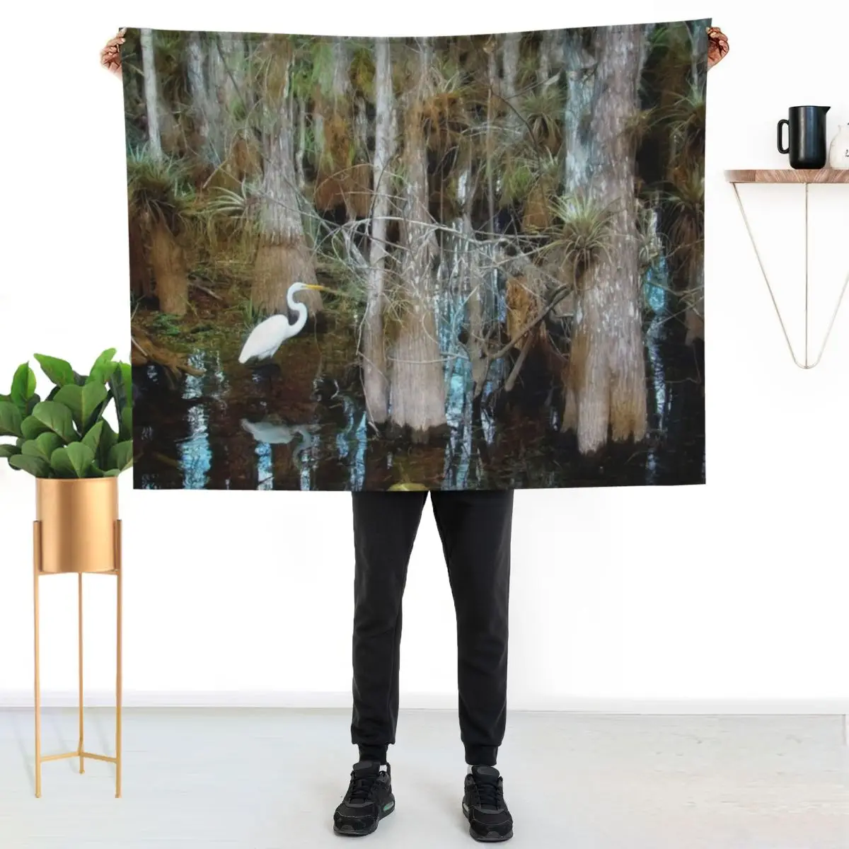 A Big Day at Big Cypress National Preserve, Florida Throw Blanket Shaggy Extra Large Throw Decorative Sofa Soft Beds Blankets