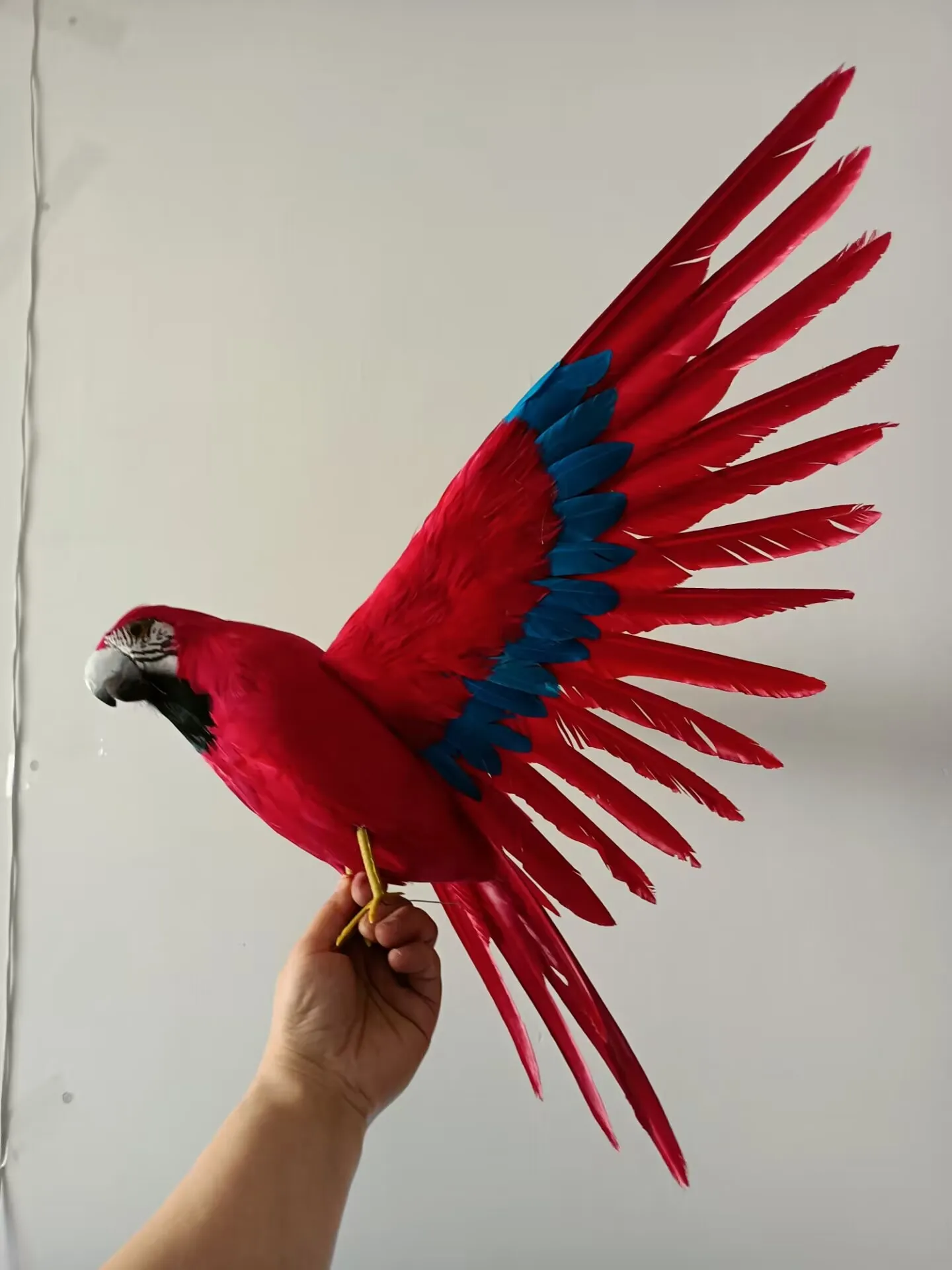 big red simulation parrot model foam&feather wings parrot bird gift about 42x60cm xf3000