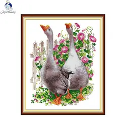 Due oche Joy Sunday conted Cross Stitch Kit completo DMC ricamo filo modello animale 14CT 11CT tessuto stampato decorazioni per la casa