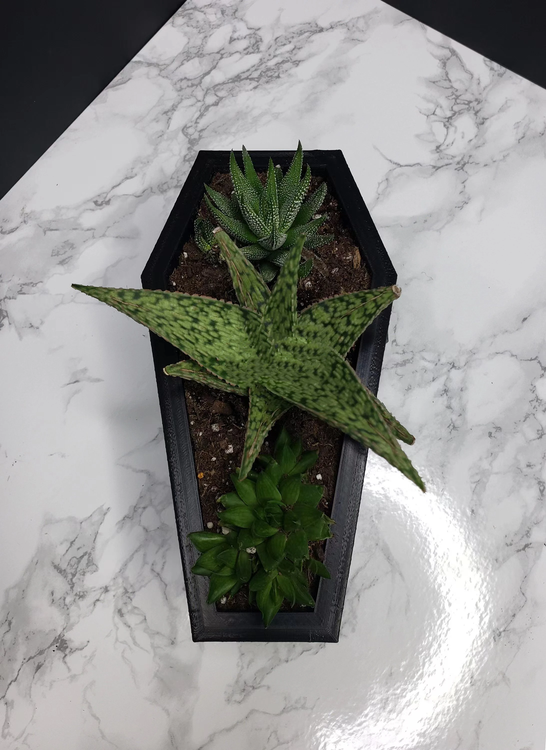 New Resin Small Coffin Decorative Planter Succulent Cactus Plant Desktop Patio Planter