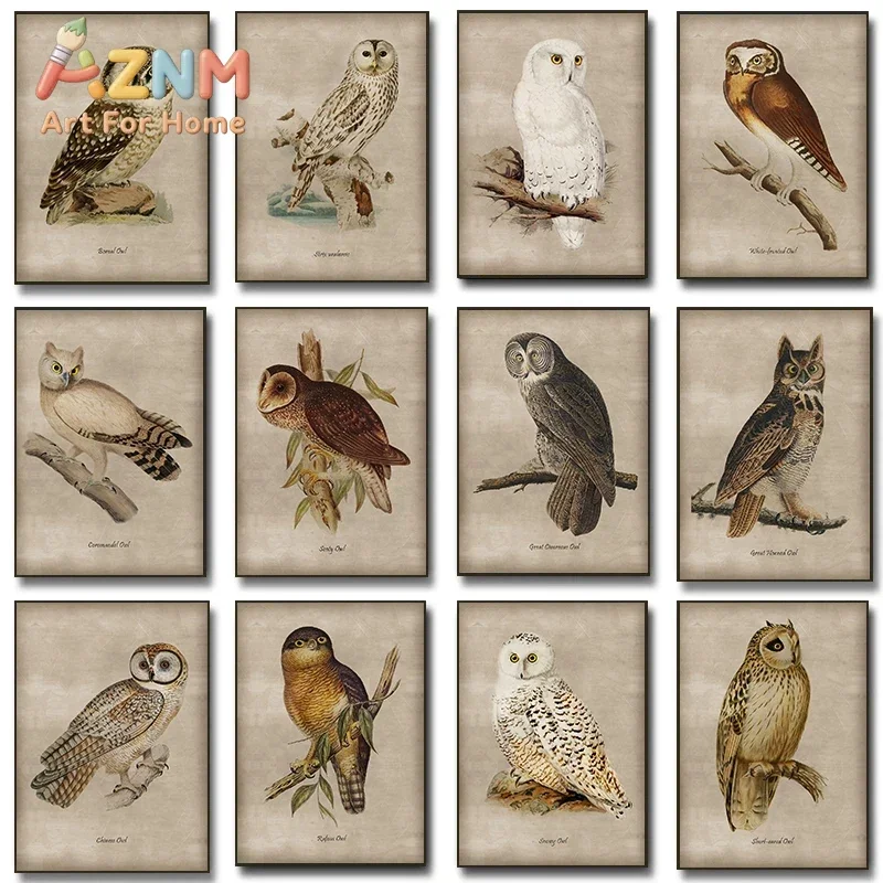 AZNM Vintage Owl Canvas Wall Art Antique Bird Illustration Retro Wildlife Drawing Art Print Unframed Canvas Poster for Home Stud