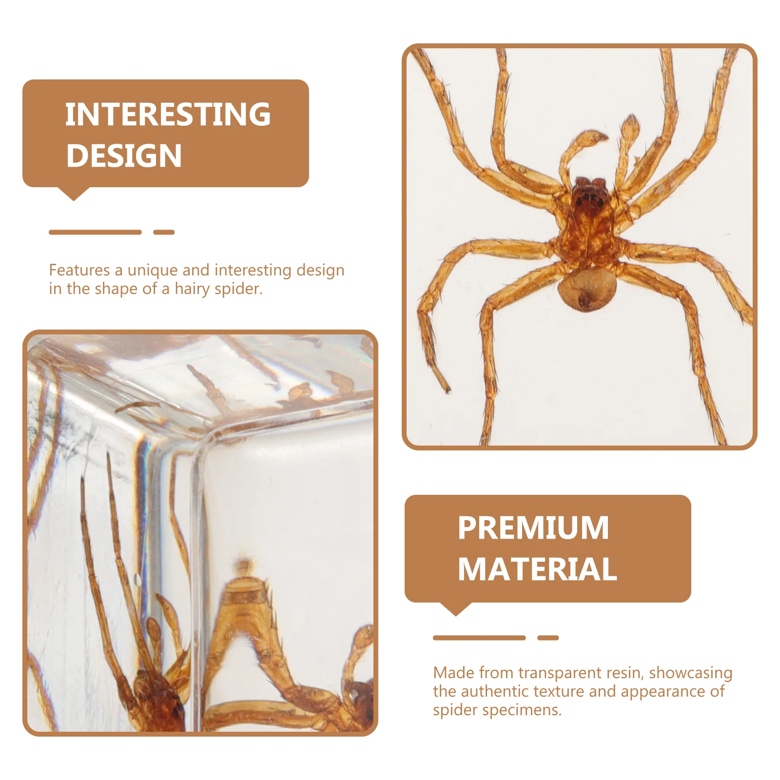 Spinnenmodell-Sammlung, transparent, bernsteinfarben, Insektenproben, Bastelornamente (haarige Spinne), 2 Stück, Desktop-Harz-Dekor, Reisen