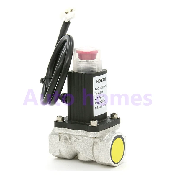 Natural gas pipeline electronic valve gas cut-off valve mechanical leakage safety alarm electromagnetic valve G1/2