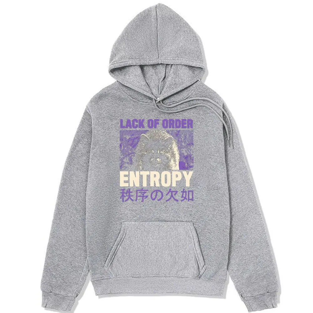Entropy Raccoon Funny Hoodies Men Women Clothes Lack OF Order Graphic Print Sweatshirt Fashion Oversized Long Sleeve Pullover