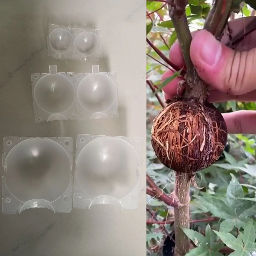 wholesale Garden Plant root growing case box tree flower Grafting Rooter Ball Rooting breeding High-pressure fruit Transparent