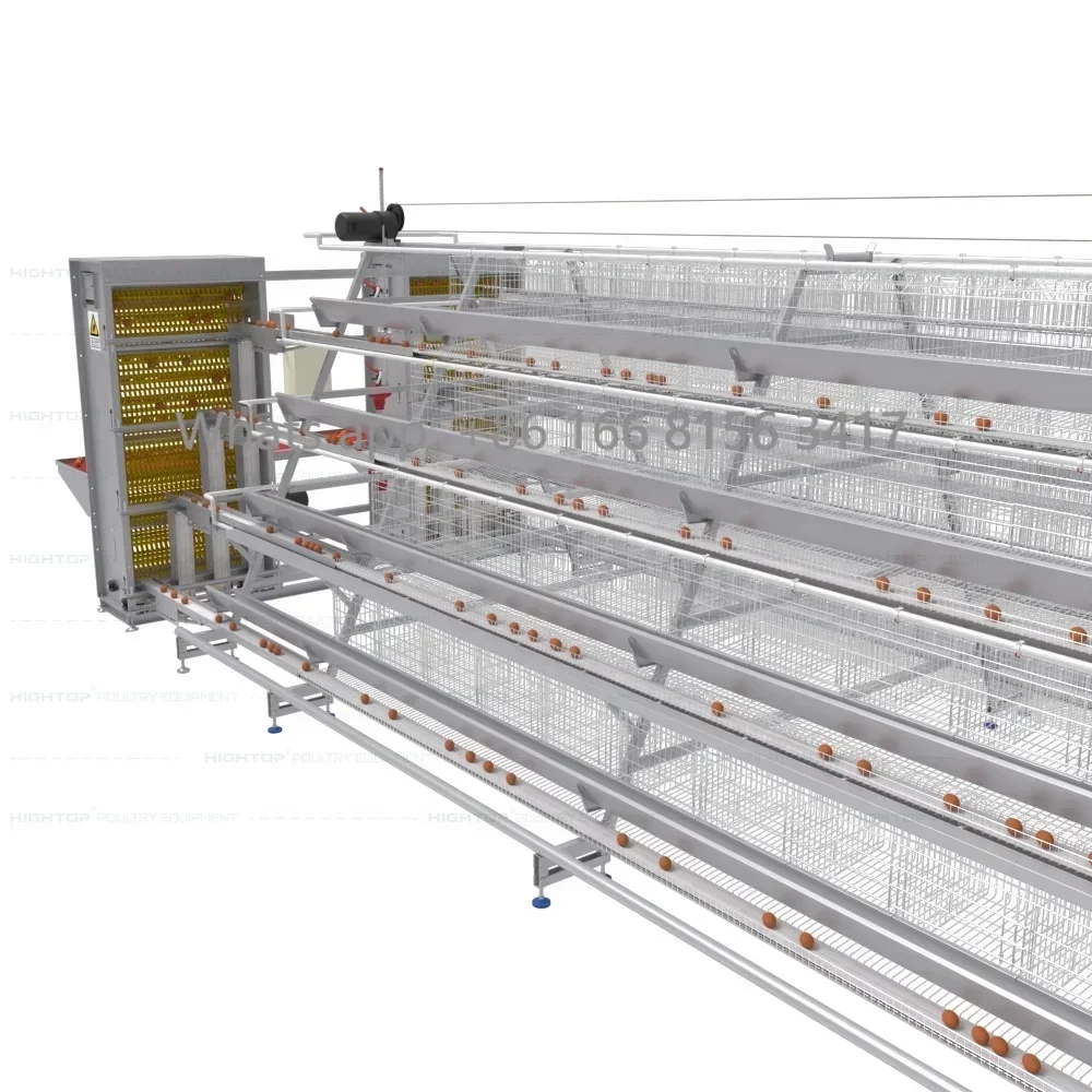 HIGHTOP Hurtownia automatycznego 4-warstwowego akumulatora Klatka dla drobiu Klatka dla kurczaków Sprzęt rolniczy na sprzedaż