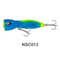 NSC013