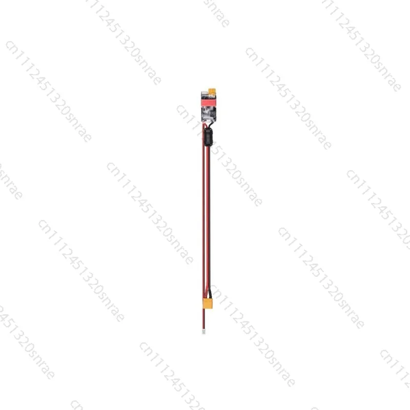 Brushless Motor Speed Governor C610