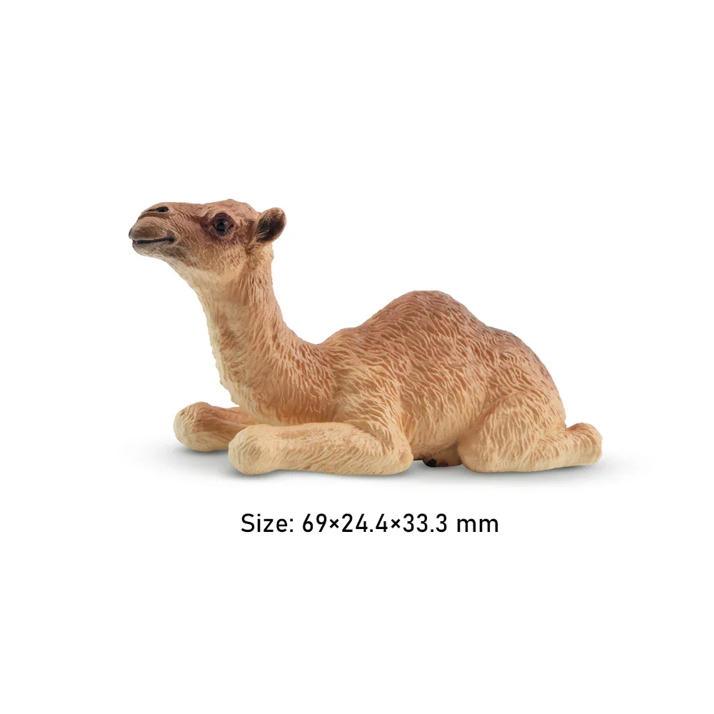 Toymany Simulatie Kameel Kalf Wildlife Diermodel Speelgoed Mini Figuren Poppen Actie Beeldjes Speelgoed Kinderen Gift Taart Decoratie