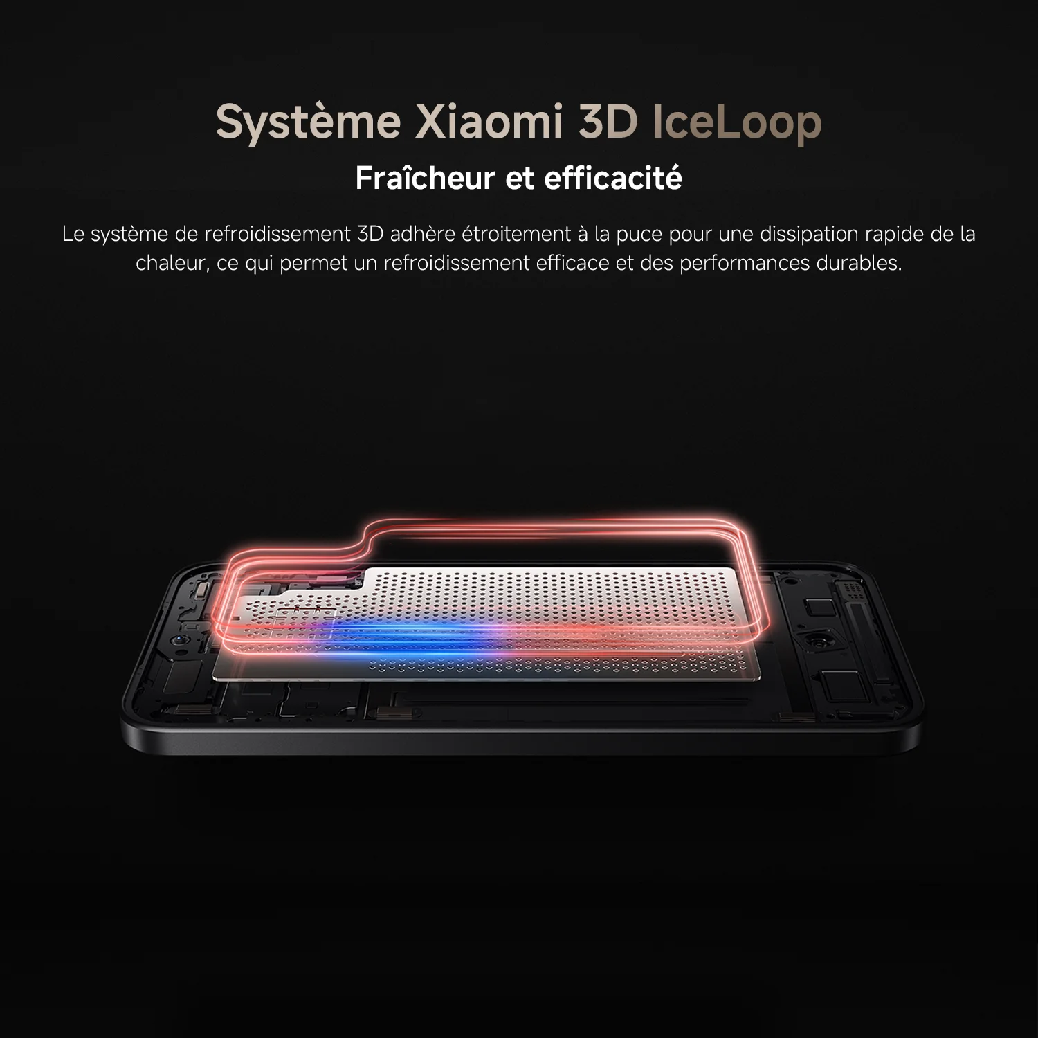 Xiaomi فرنسا |   شياوما 15 بوكيمون بيناتا