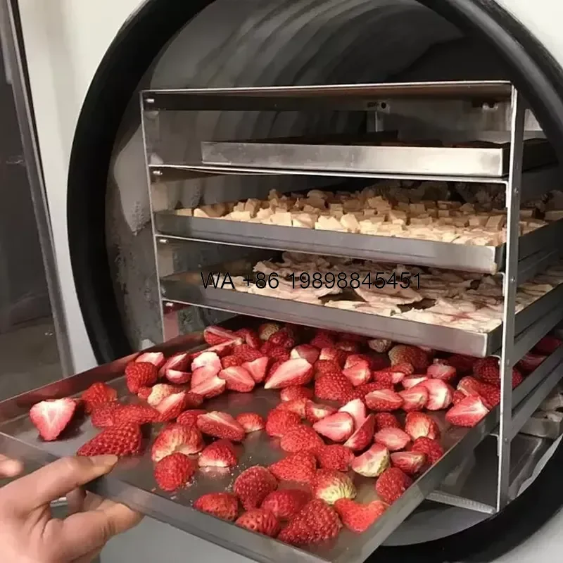 Wmwmnu for Commercial Vegetable Fruit Meat 4kg Capacity Freeze Drying Laboratory Freeze Dryer