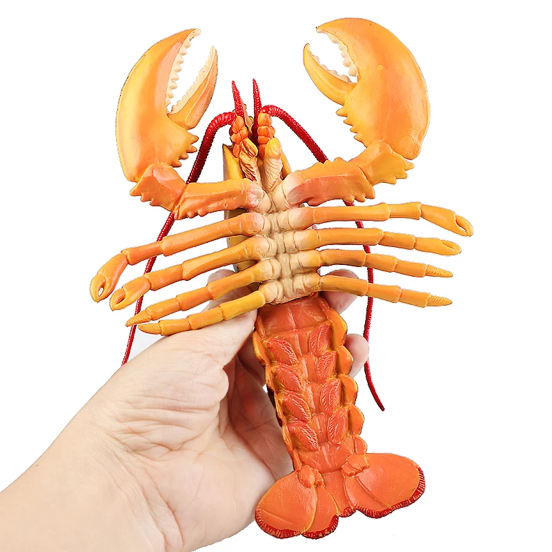 # Sea Life Palinuridae Lobster Figurine Spotte Shrimp Realistic Crustacean Figure Educational Toy for Boys, Girls, and Kids