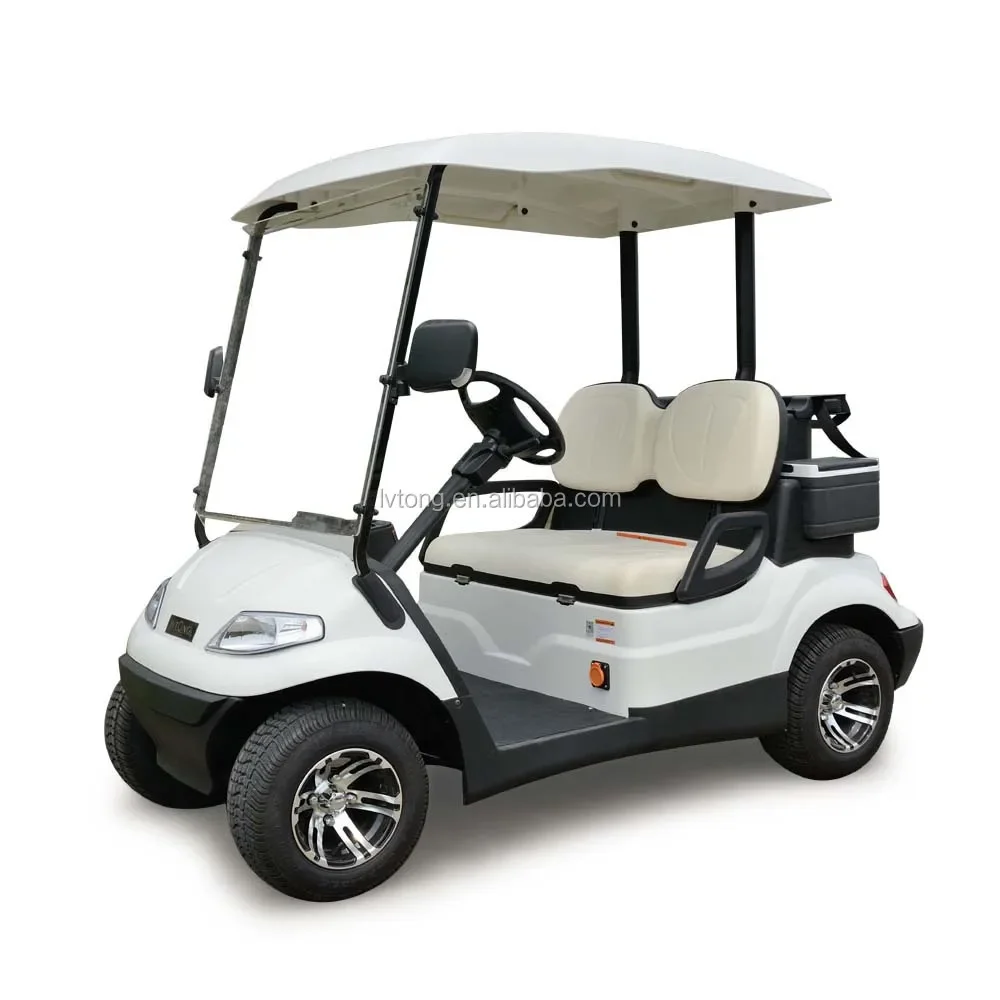 Hot Sale 2 Person Electric Mini Golf Cart