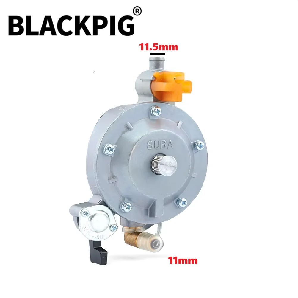 GT241 154F Engine LPG Dual Fuel Carburetor Reducer Assy Gasolina Petrol Generator Parts