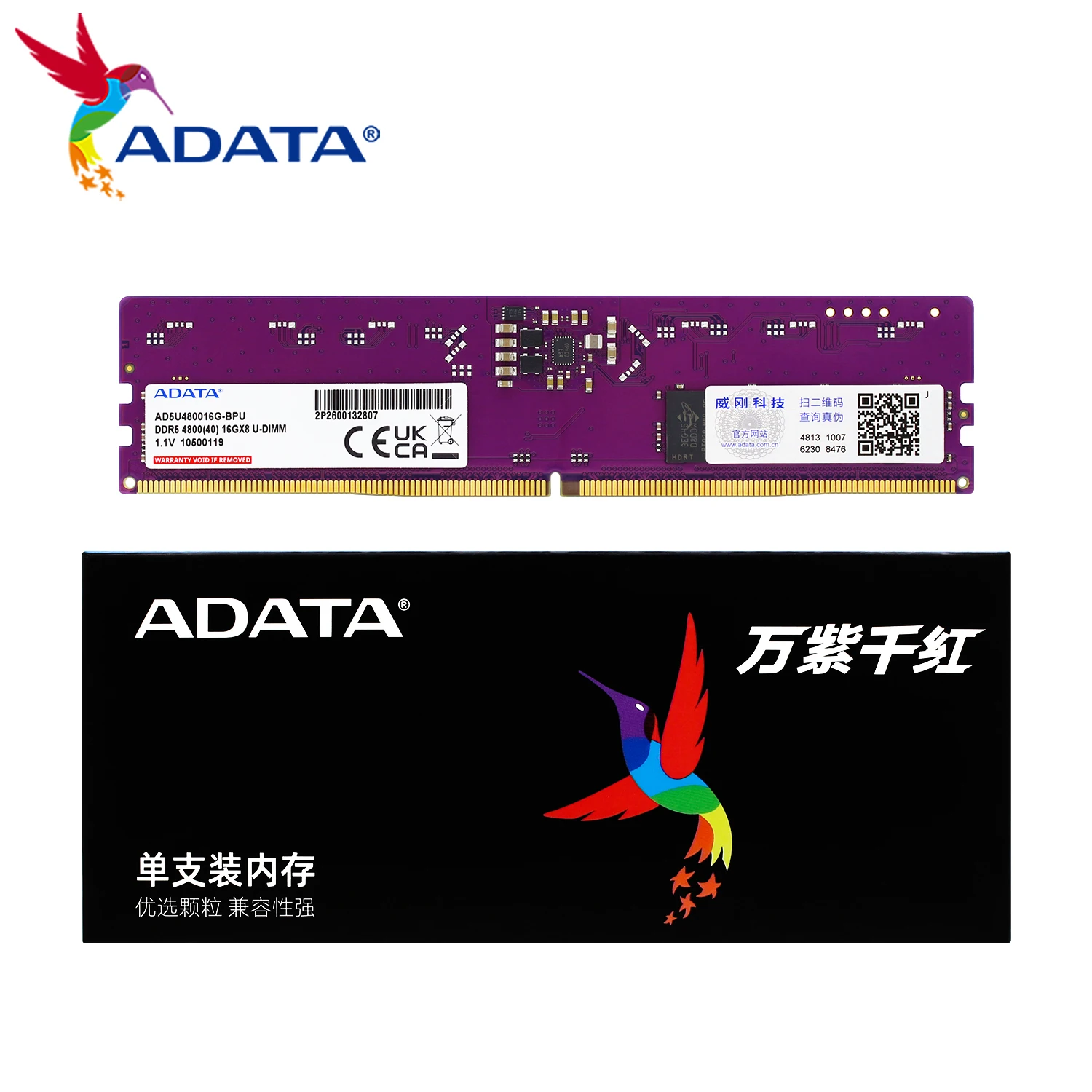 ADATA DDR5 288-pin DIMM DRAM وحدة 16GB 32GB 4800MHz CL40 5600MHz CL46 RAM عصا لوحدة ذاكرة ECC لسطح المكتب/الكمبيوتر