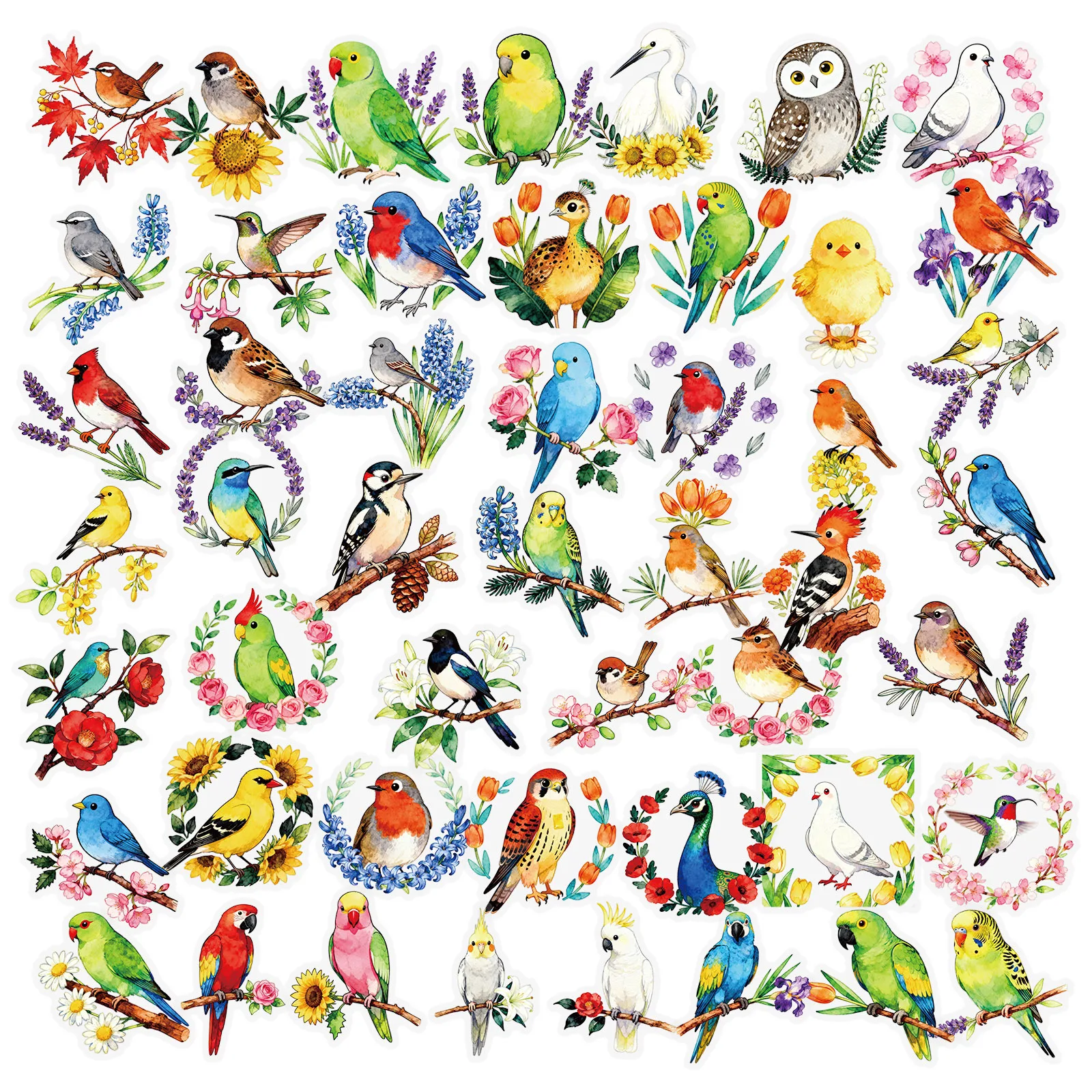 

56Pcs Clear PET Watercolor Bird Stickers Transparent Botanical Decals Waterproof Scrapbook Junk Journal Resin Nature Animal Gift