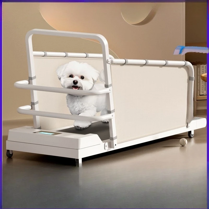 Cat treadmill, dog cat treadmill, Bigbear teddy corgi pet treadmill, small and medium dog treadmill