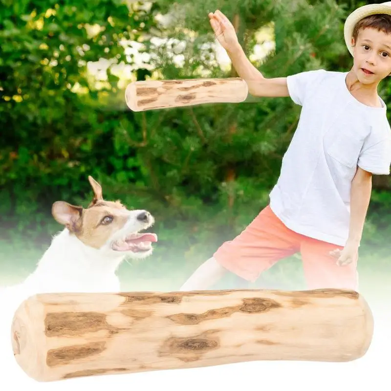 Real Wooden Dog Chew Toys Safe Interactive Dog Chew Stick Natural Dog Teeth Cleaning Hard Stick Portable For Puppy Travel Toys