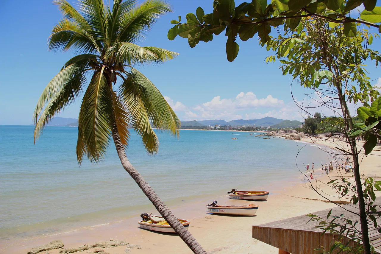 

Bitter Essence Bottle Plug Dripper Liquor Dasher Tops Dash-Bottle Stopper Bitter Bottle Cap Bitter Bottle Decoration Bar Set