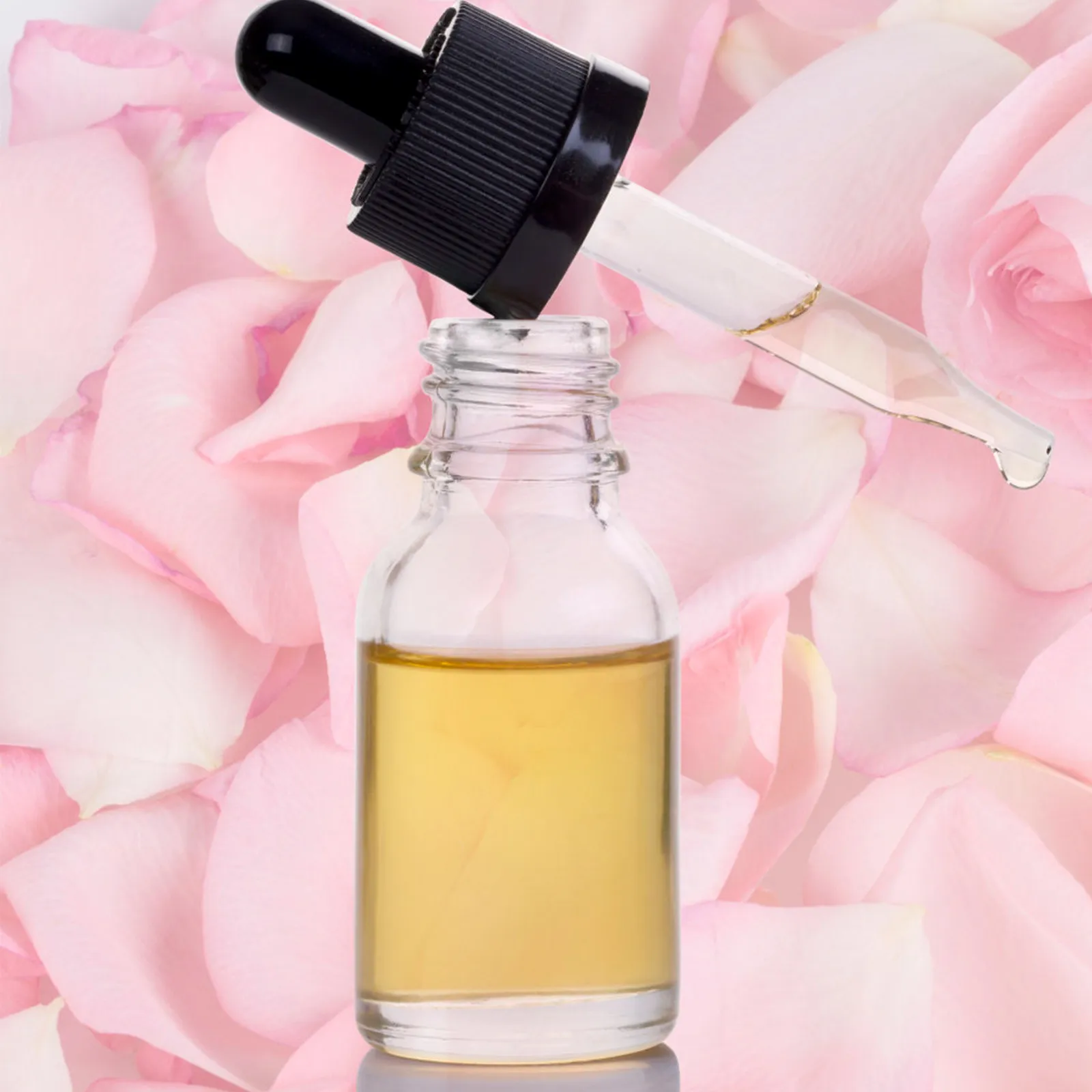12-frascos-de-vidro-premium-com-conta-gotas-para-Oleos-essenciais-tinturas-perfumes-Oleo-para-barba-recarregaveis-a-prova-de-vazamento-portateis-e-transparentes