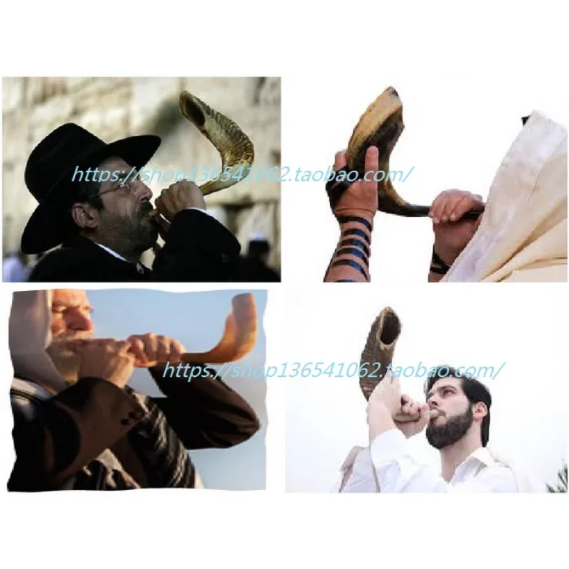 قرون إسرائيل من الطراز الأصلي ، الدعائم الشخصية ، اللون العشوائي ، 12 في-14 في ، نمط قطعة واحدة