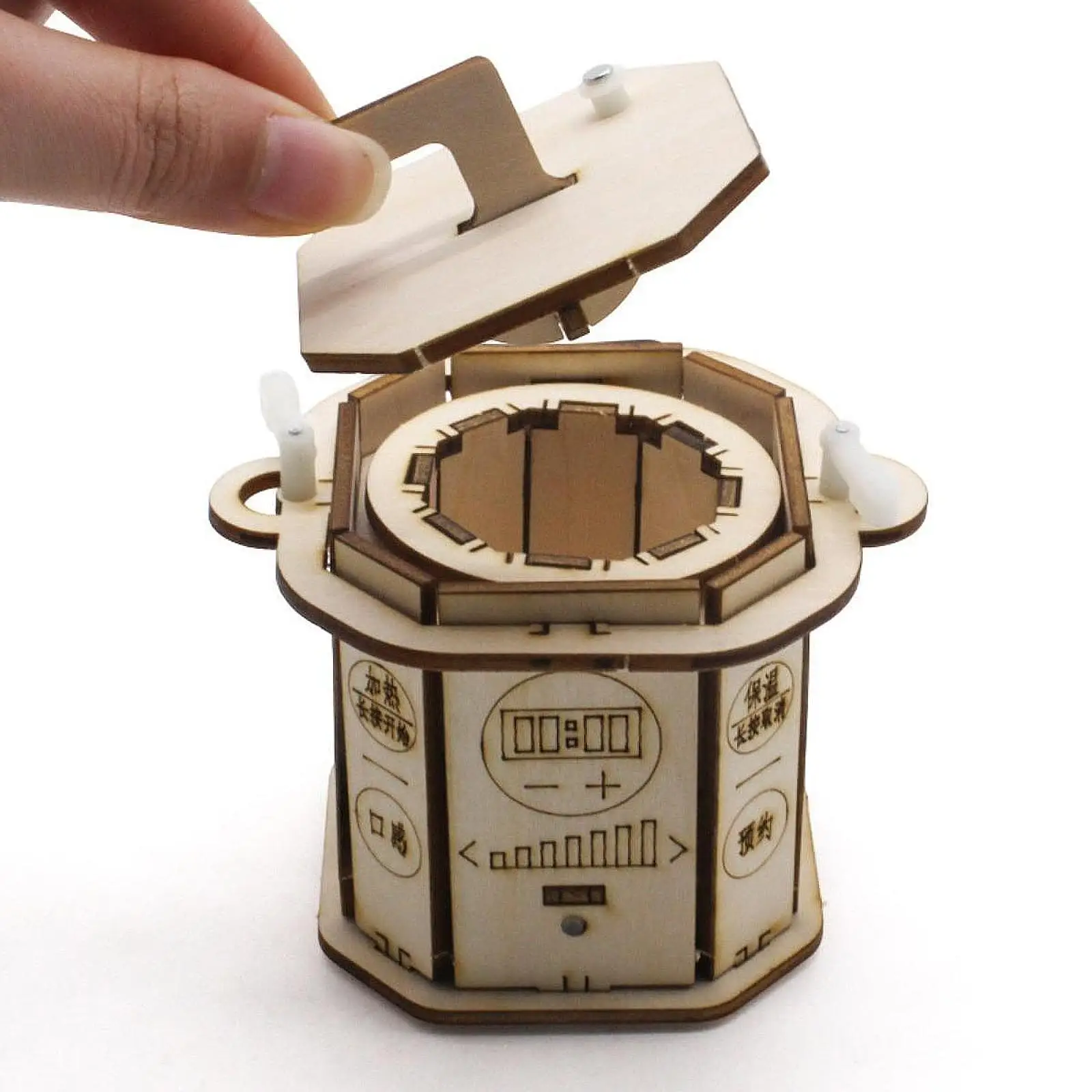 Houten bouwsteenset Natuurkunde Leermiddel Experimenten Wetenschapsset voor kinderen Elementaire studenten Jongens Meisjes Verjaardagscadeaus