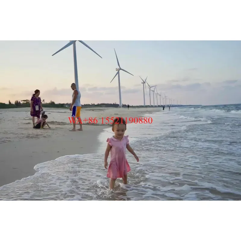 WMWMNU 20KW Automatic Electronic Yaw Wind Turbine with Lithium Ion Battery On Grid Wind Generator System